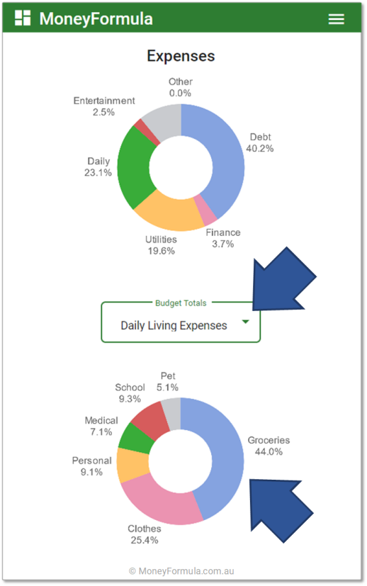 Personal Budget App Budgets & Buckets Pie Charts.